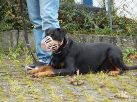 DSCF0059.JPG